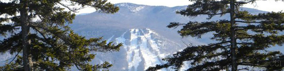 North Conway Maps